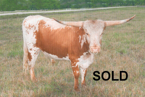 RVR Lone Star